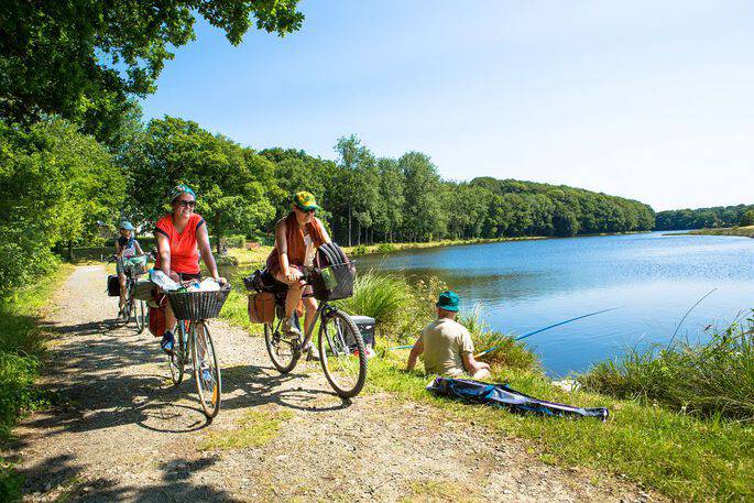 La Vallée du Blavet offre de nombreuses possibilités de randonnées à pied, vélos, trail ou à cheval. Explorez ses paysages variés grâce à des circuits balisés pour tous les niveaux, et découvrez des parcours adaptés à vos envies d'aventure en plein air.
